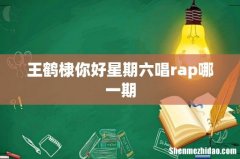 王鹤棣你好星期六唱rap哪一期