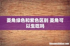菱角绿色和紫色区别 菱角可以生吃吗