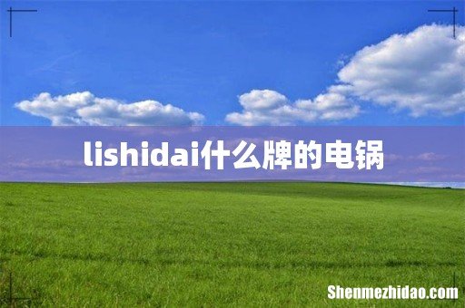 lishidai什么牌的电锅
