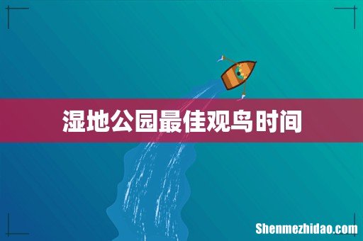 湿地公园最佳观鸟时间