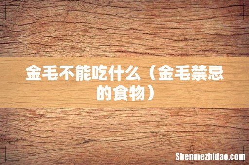 金毛禁忌的食物 金毛不能吃什么