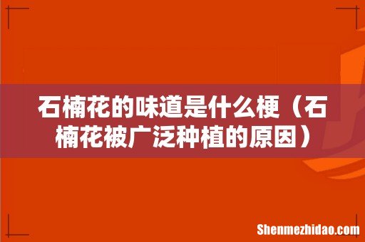 石楠花被广泛种植的原因 石楠花的味道是什么梗
