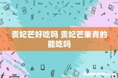 贵妃芒好吃吗 贵妃芒果青的能吃吗