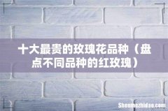 盘点不同品种的红玫瑰 十大最贵的玫瑰花品种