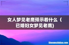 女人梦见老鹰预示着什么（已婚妇女梦见老鹰)