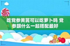 吃党参黄芪可以吃萝卜吗 党参跟什么一起搭配最好