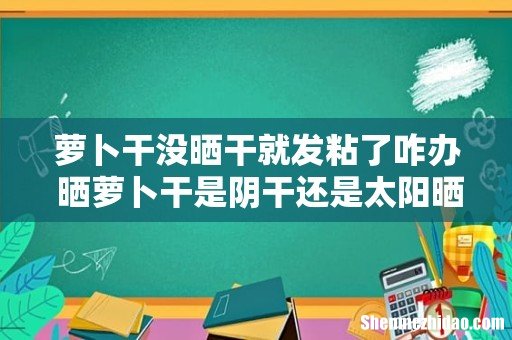 萝卜干没晒干就发粘了咋办 晒萝卜干是阴干还是太阳晒好