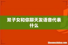 双子女和你聊天发语音代表什么