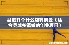 适合县城乡镇做的创业项目 县城开个什么店有前景