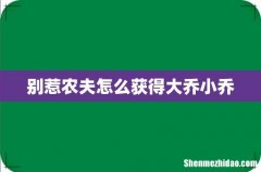 别惹农夫怎么获得大乔小乔