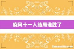 旋风十一人结局谁胜了
