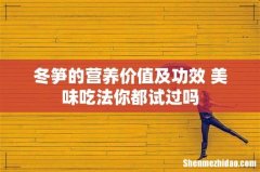 冬笋的营养价值及功效 美味吃法你都试过吗