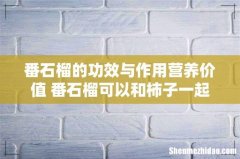 番石榴的功效与作用营养价值 番石榴可以和柿子一起吃吗