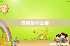 范伟是什么梗