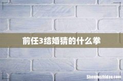 前任3结婚猜的什么拳