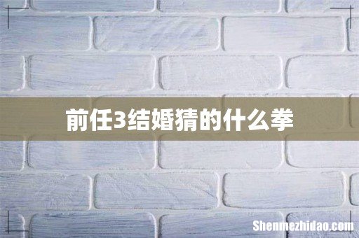前任3结婚猜的什么拳