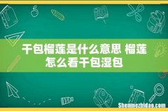 干包榴莲是什么意思 榴莲怎么看干包湿包