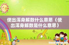 使出浑身解数是什么意思 使出浑身解数什么意思