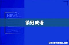 销冠成语