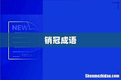 销冠成语