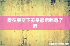 爱在星空下苏星最后翻身了吗