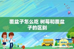 覆盆子怎么吃 树莓和覆盆子的区别