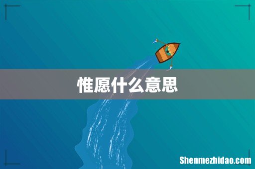 惟愿什么意思