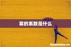 幂的系数是什么