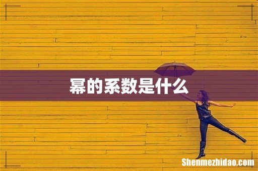 幂的系数是什么