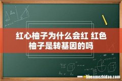 红心柚子为什么会红 红色柚子是转基因的吗