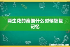 两生花的秦朗什么时候恢复记忆