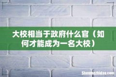 如何才能成为一名大校 大校相当于政府什么官