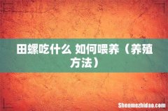 养殖方法 田螺吃什么 如何喂养