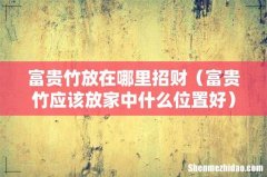 富贵竹应该放家中什么位置好 富贵竹放在哪里招财