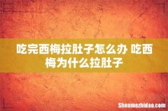 吃完西梅拉肚子怎么办 吃西梅为什么拉肚子