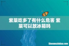 紫菜吃多了有什么危害 紫菜可以放冰箱吗