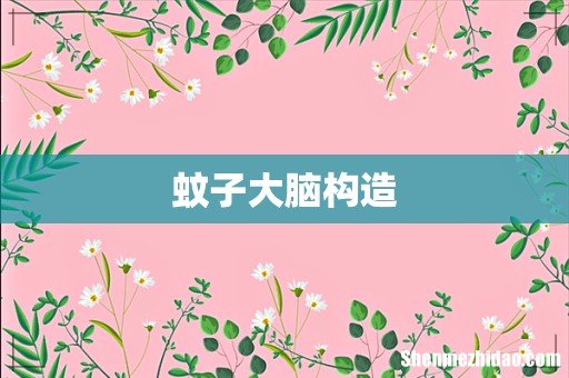 蚊子大脑构造