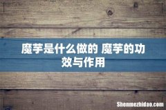 魔芋是什么做的 魔芋的功效与作用