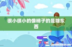 很小很小的像柿子的是啥东西