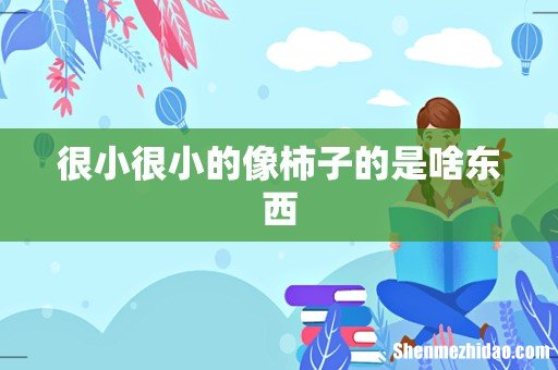 很小很小的像柿子的是啥东西