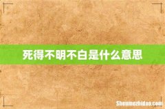死得不明不白是什么意思