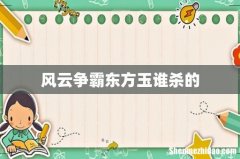 风云争霸东方玉谁杀的