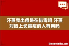 汗蒸完出痘是在排毒吗 汗蒸对脸上长痘痘的人有用吗