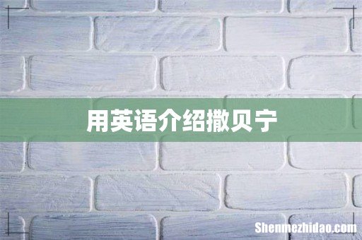 用英语介绍撒贝宁