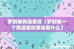 梦到被一个狗追着咬意味着什么 梦到被狗追着咬