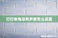 钉钉来电没有声音怎么设置