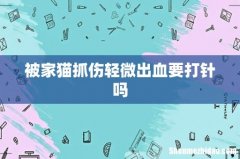 被家猫抓伤轻微出血要打针吗