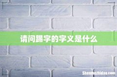 请问踢字的字义是什么
