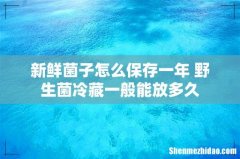 新鲜菌子怎么保存一年 野生菌冷藏一般能放多久