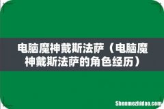 电脑魔神戴斯法萨的角色经历 电脑魔神戴斯法萨